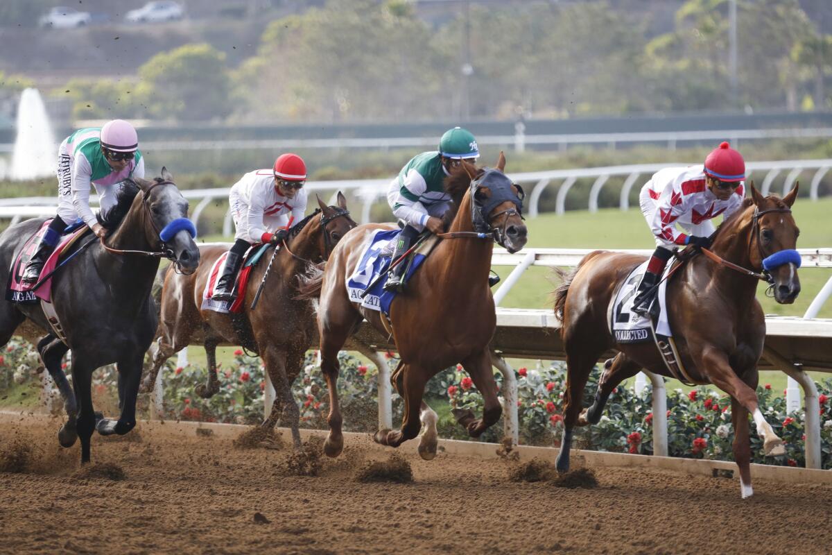 Collected, right, with jockey Martin Garcia aboard was in the lead from the start of the Pacific Classic, winning it with a time of 2:00.70. Arrogate, far left, came on at the end and finished in second place. | Photo by Howard Lipin/San Diego Union-Tribune