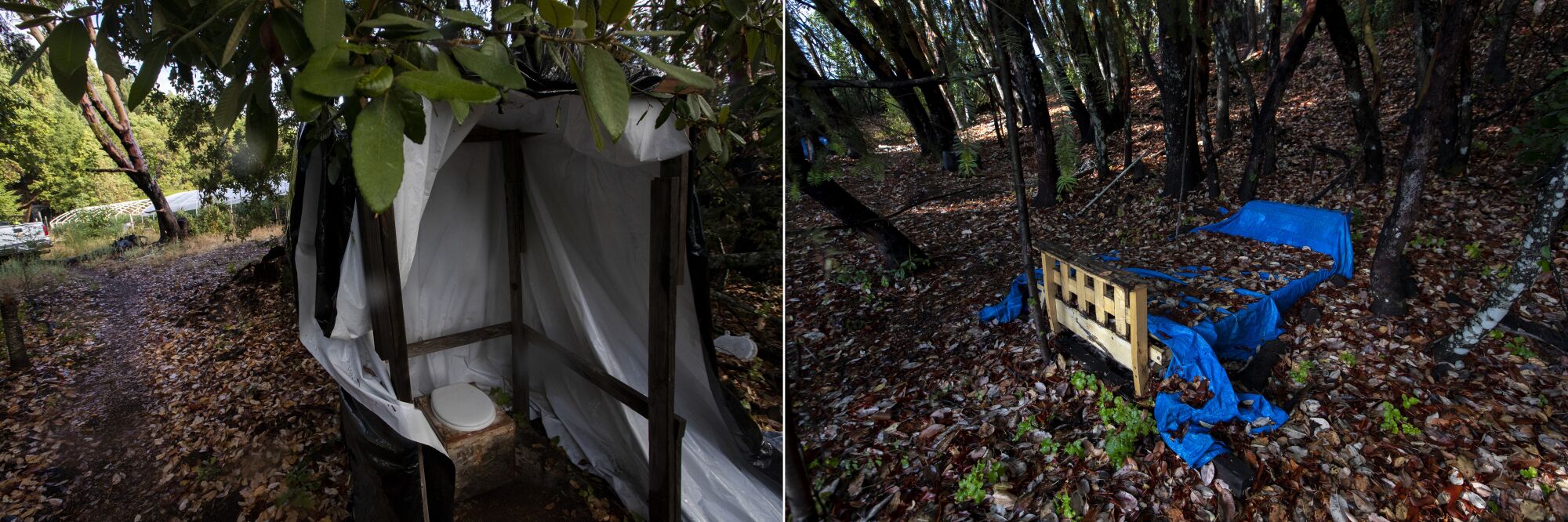 a plywood toilet and a bed in the woods near makeshift living quarters 
