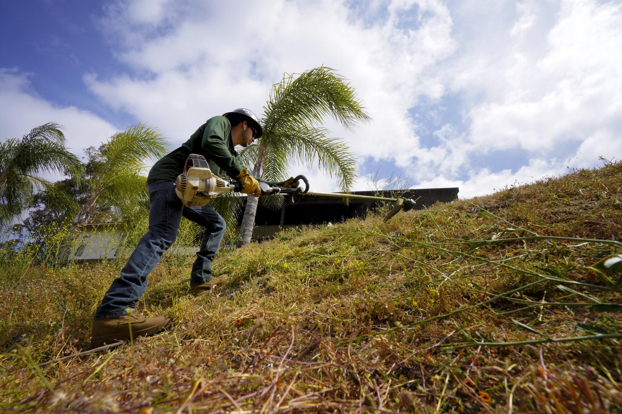 Worker clears a hillside with a string trimmer