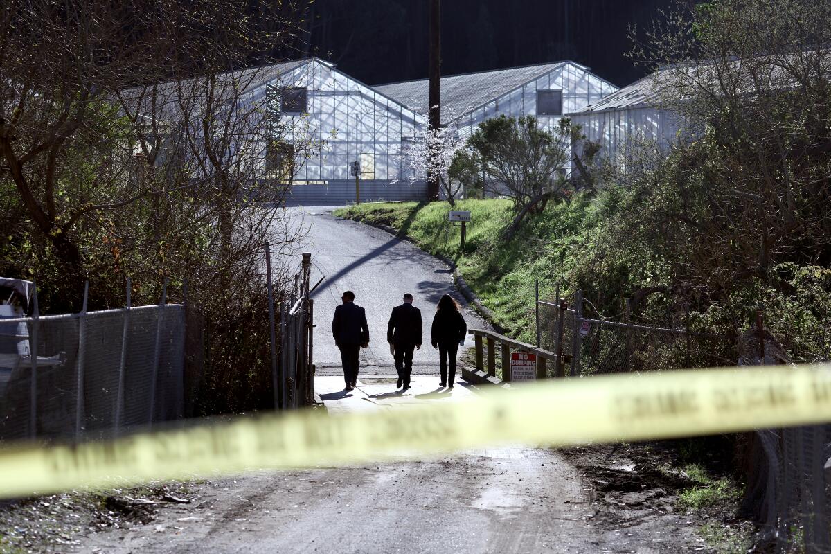 Behind police caution tape three people walk up a road toward a row of greenhouses flanked by a forest.