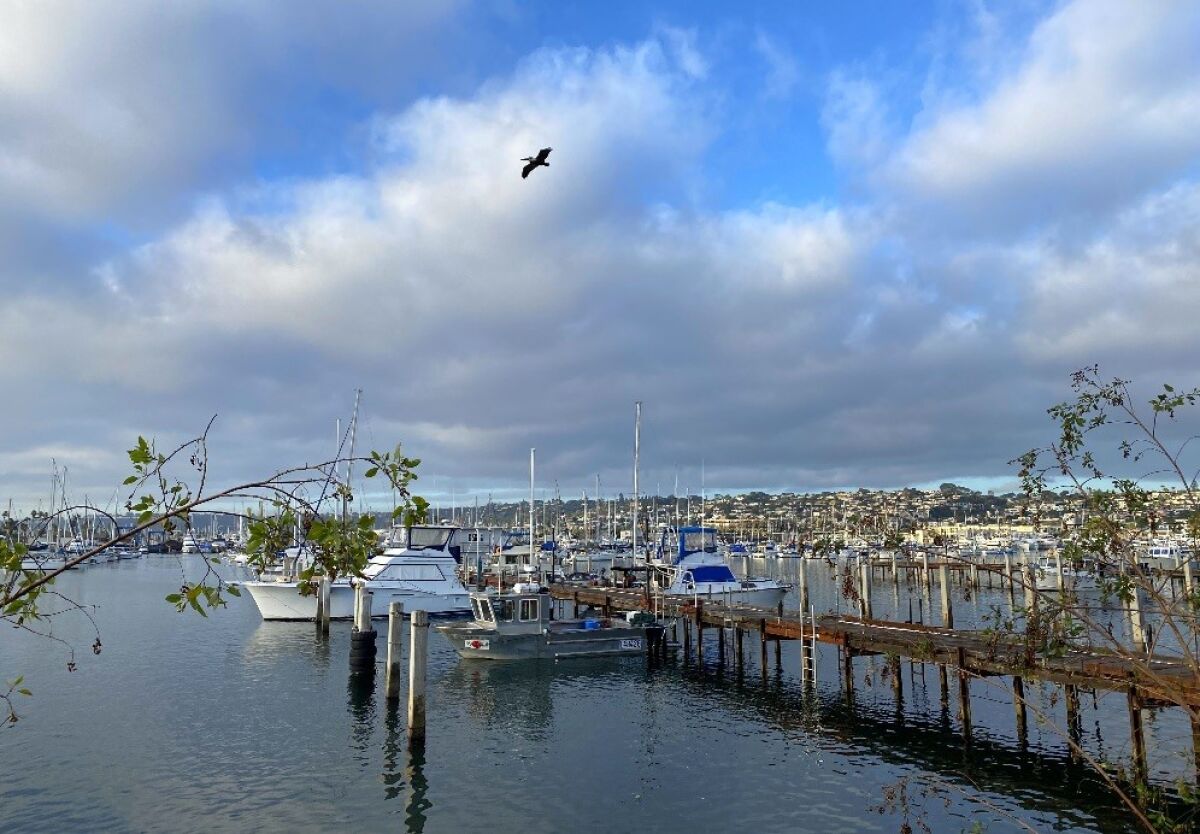 Driscoll’s Wharf accommodates commercial fishing vessels and limited recreational boats.