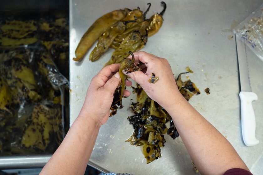 The hands of an assistant cook are shown as she peels and dices hundreds of Joe E. Parker green chiles for chile con queso.