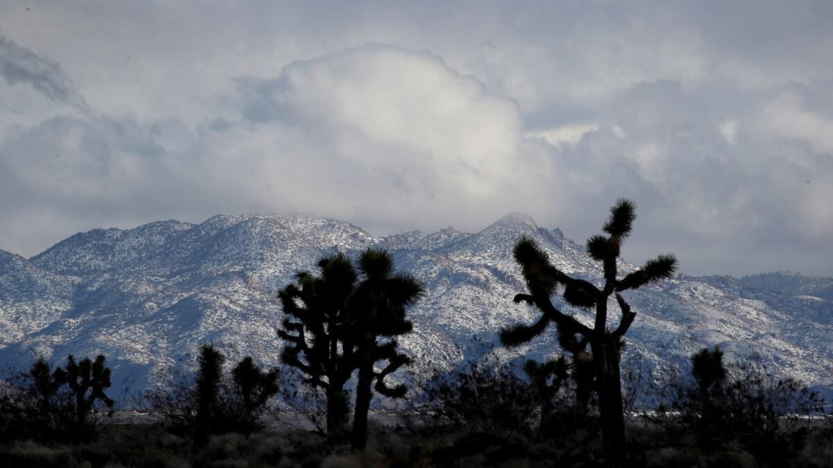 Joshua trees are silhouetted by snowcapped mountains along U.S. 395 in Adelanto, Calif., on Tuesday.