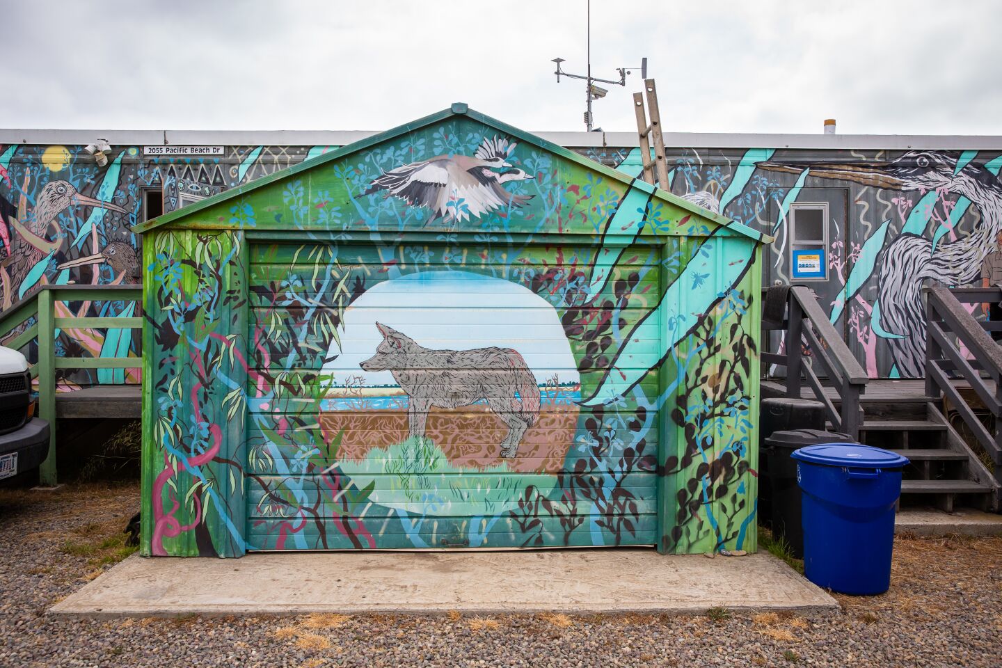 The colorful research trailer at the Kendall-Frost Marsh Reserve is covered with paintings of wildlife.