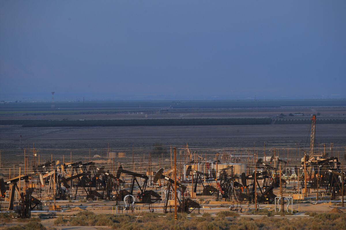 Several oil pump jacks in a field