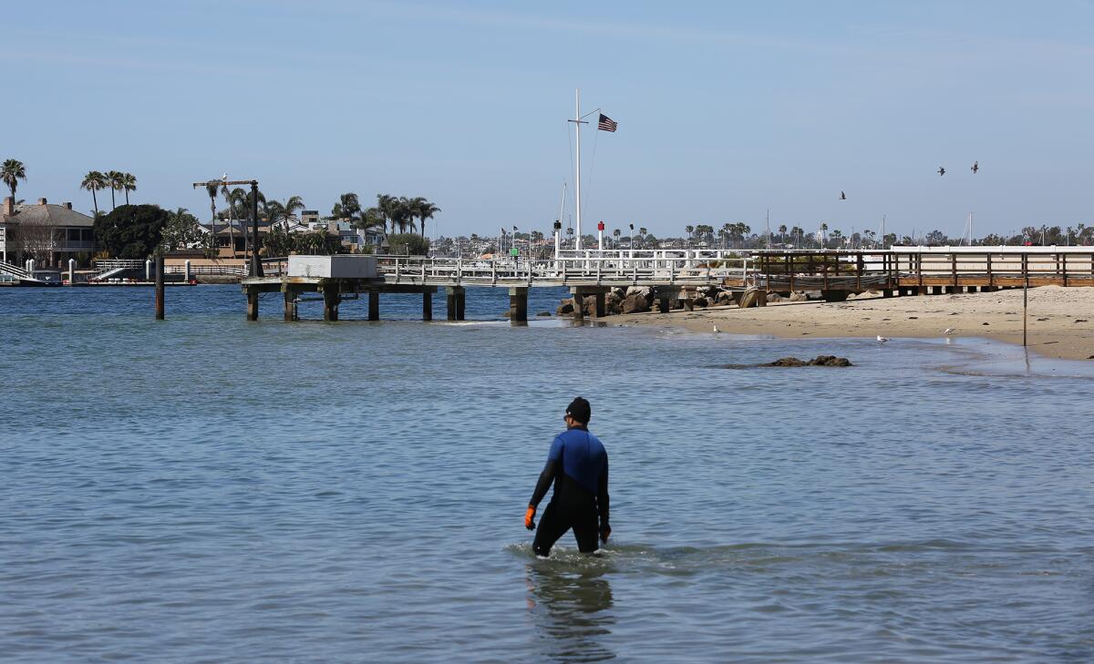 A 1,000-gallon sewage spill was reported in Newport Bay near China Cove.