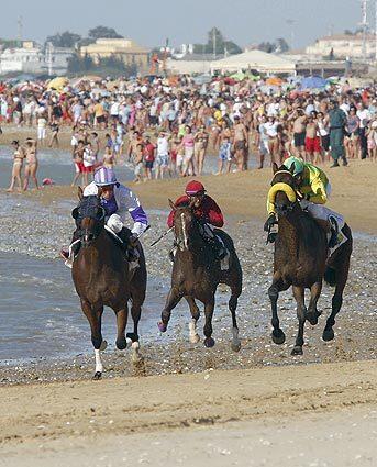 Horse race on the beach