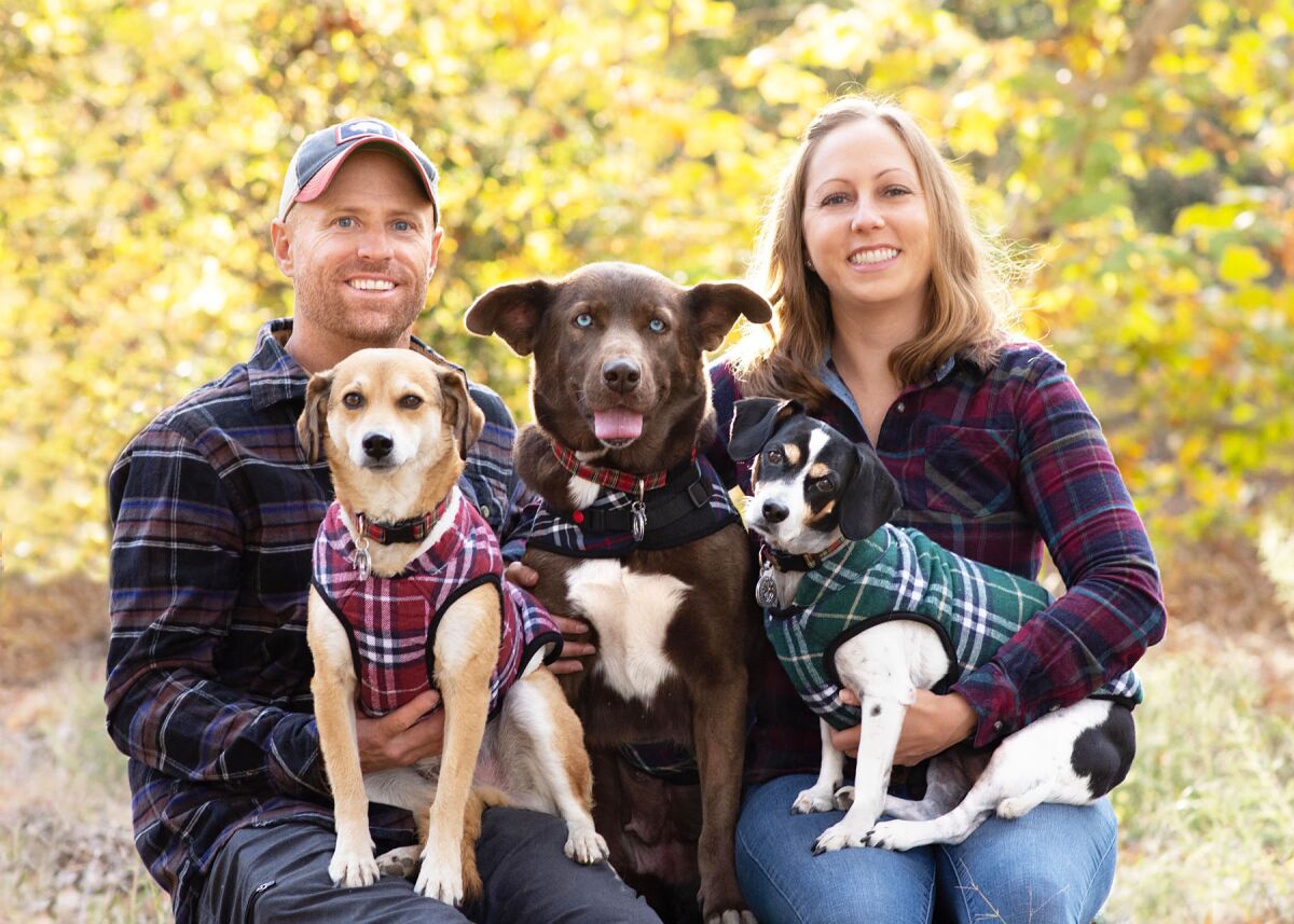 Ben and Michelle May, co-director of The Animal Pad events, with their dogs, Jackson, Billie (a TAP alum) and Kermit.