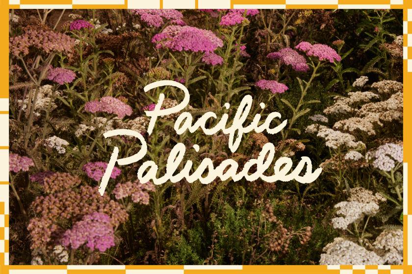 Handwritten typography: Pacific Palisades