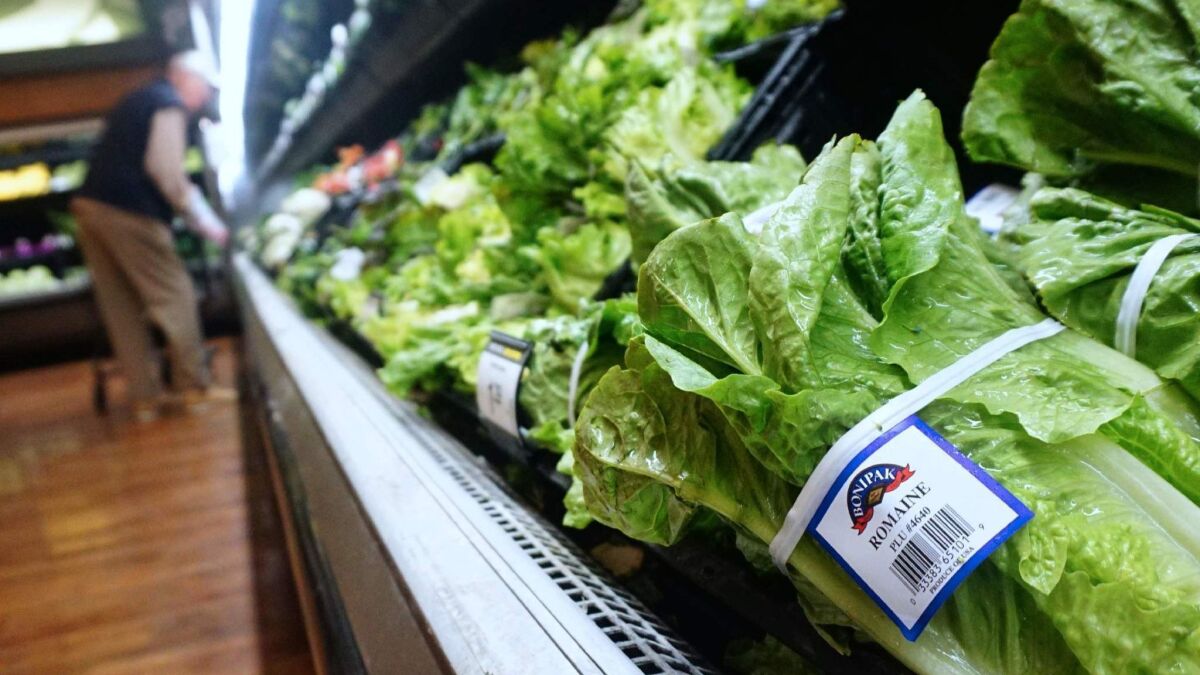 E. coli bacteria contaminated romaine lettuce earlier this year, killing five people and sickening another 205.