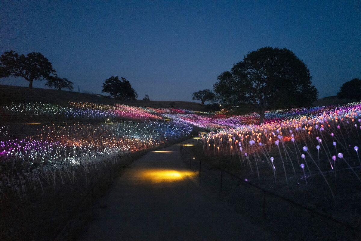 58,800 solar-powered stemmed spheres lighted by fiber-optics illuminate the landscape in subtle blooms of color. 