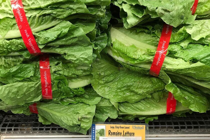 SAN RAFAEL, CA - APRIL 23: Romaine lettuce is displayed on a shelf at a supermarket on April 23, 2018 in San Rafael, California. The Food and Drug Administration and the Centers for Disease Control and Prevention is advising American consumers to throw away and avoid eating Romaine lettuce, especially if its origin is from Yuma, Arizona as investigators try to figure out the cause of an E. coli outbreak that has sickened 53 people in 16 states. (Photo by Justin Sullivan/Getty Images) ** OUTS - ELSENT, FPG, CM - OUTS * NM, PH, VA if sourced by CT, LA or MoD **