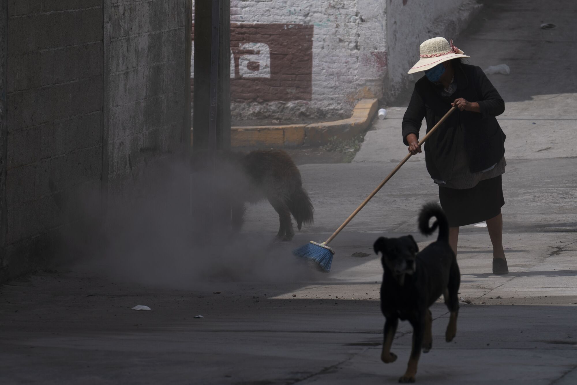 A woman in a hat sweeps the street near two dogs