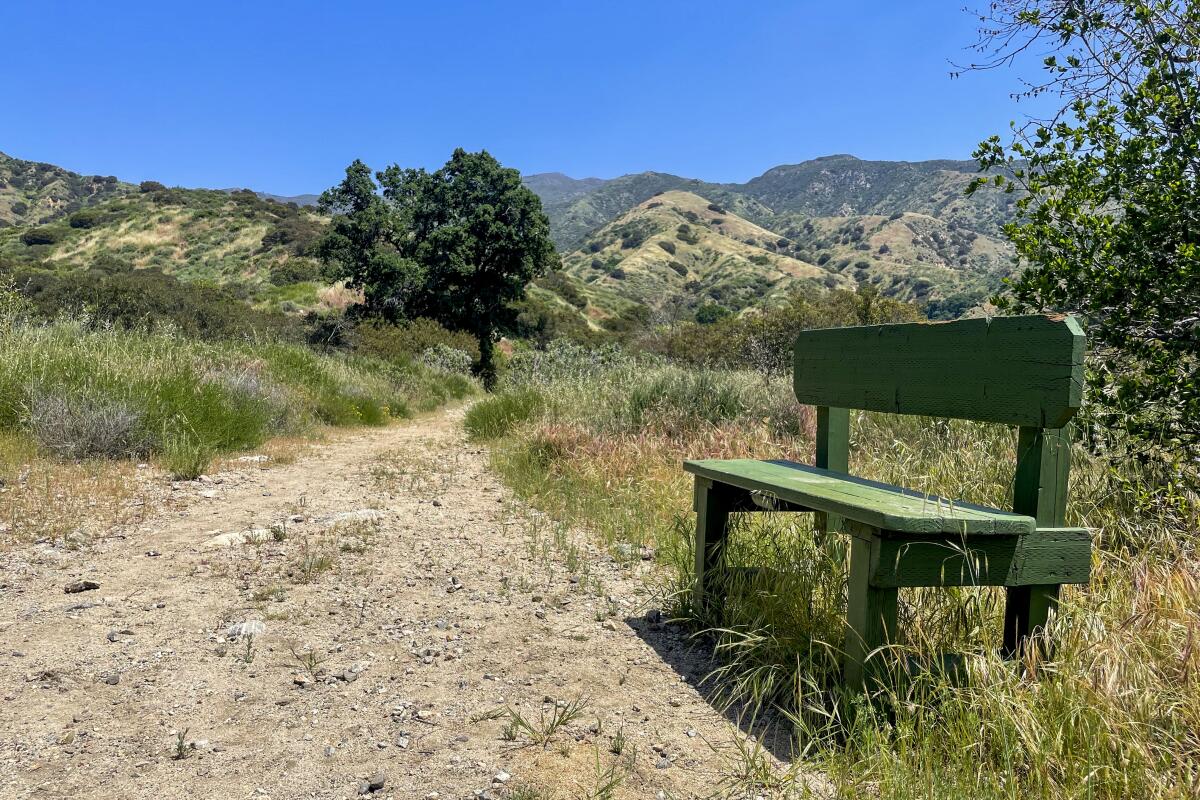 A green bench sits near a trail at Wilson Canyon Park.
