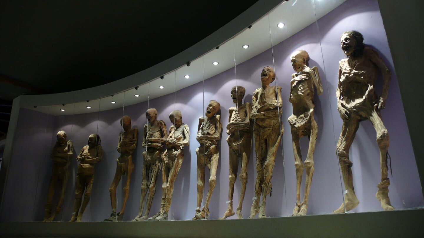 At this museum in central Mexico, you'll find over 100 mummies exhumed from a Guanajuato cemetery between 1870 and 1958. In 1870, a local law required families to pay a tax to ensure that their deceased loved ones stayed buried. The penalty for not paying was disinterment.