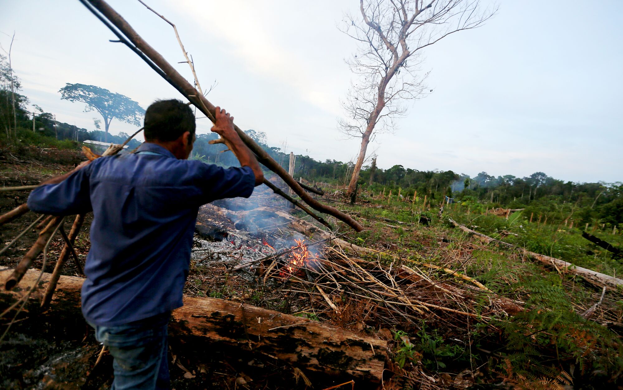 A settler slashes and burns a patch of land near the edge of the rainforest