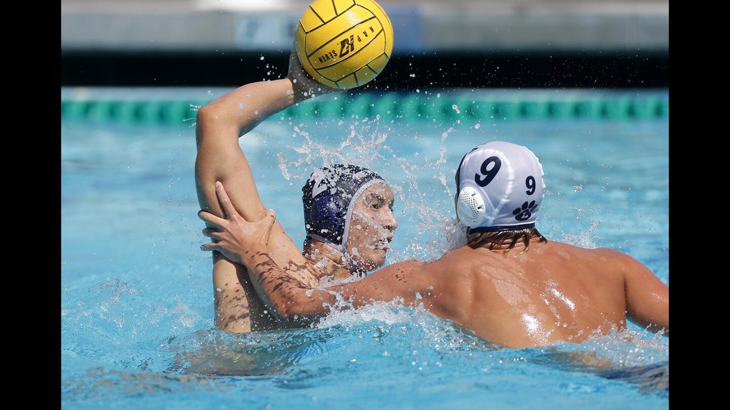 Photo gallery: Newport Harbor vs. Loyola in boys' water polo