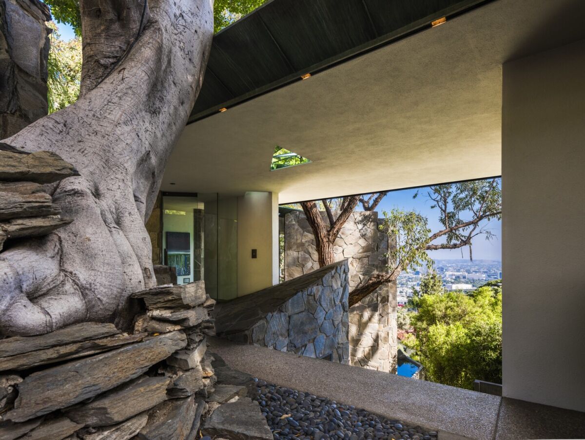 John Lautner's striking Wolff House wraps around a giant eucalyptus tree on a steep hillside lot.
