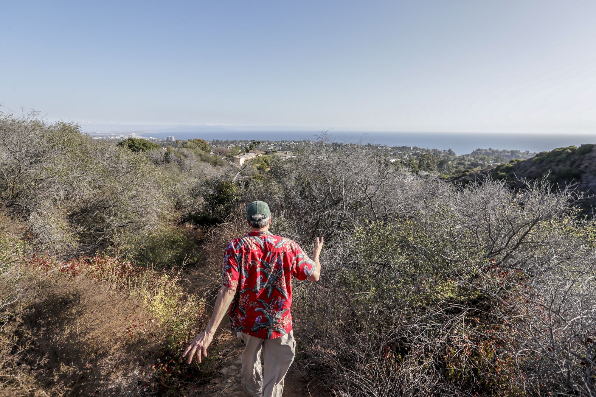 Steve Yusi walks a dense trail of brush located a few hundred yards from his home.