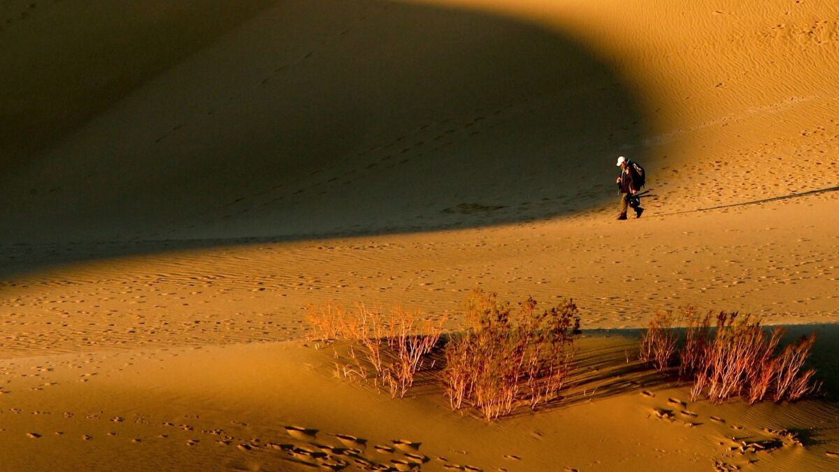 A lone hiker crosses Mesquite Flat Dunes, Death Valley National Park.