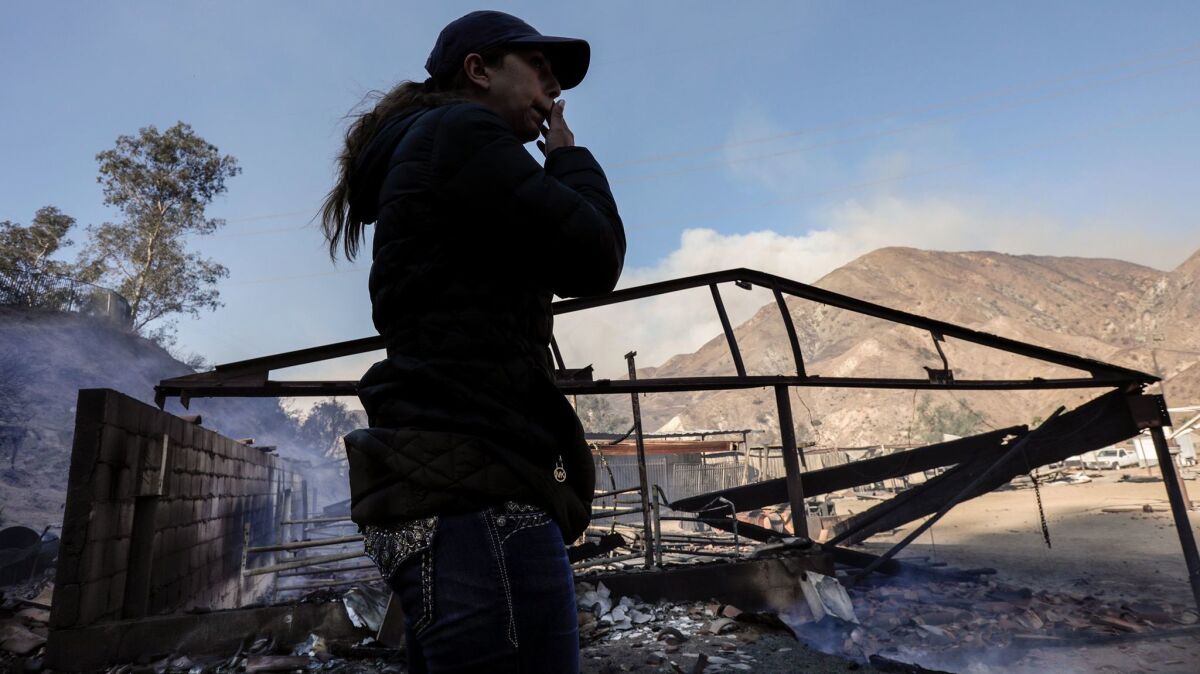 A member of the Padilla family surveys her family's ranch, where 29 horses perished in the Creek fire.