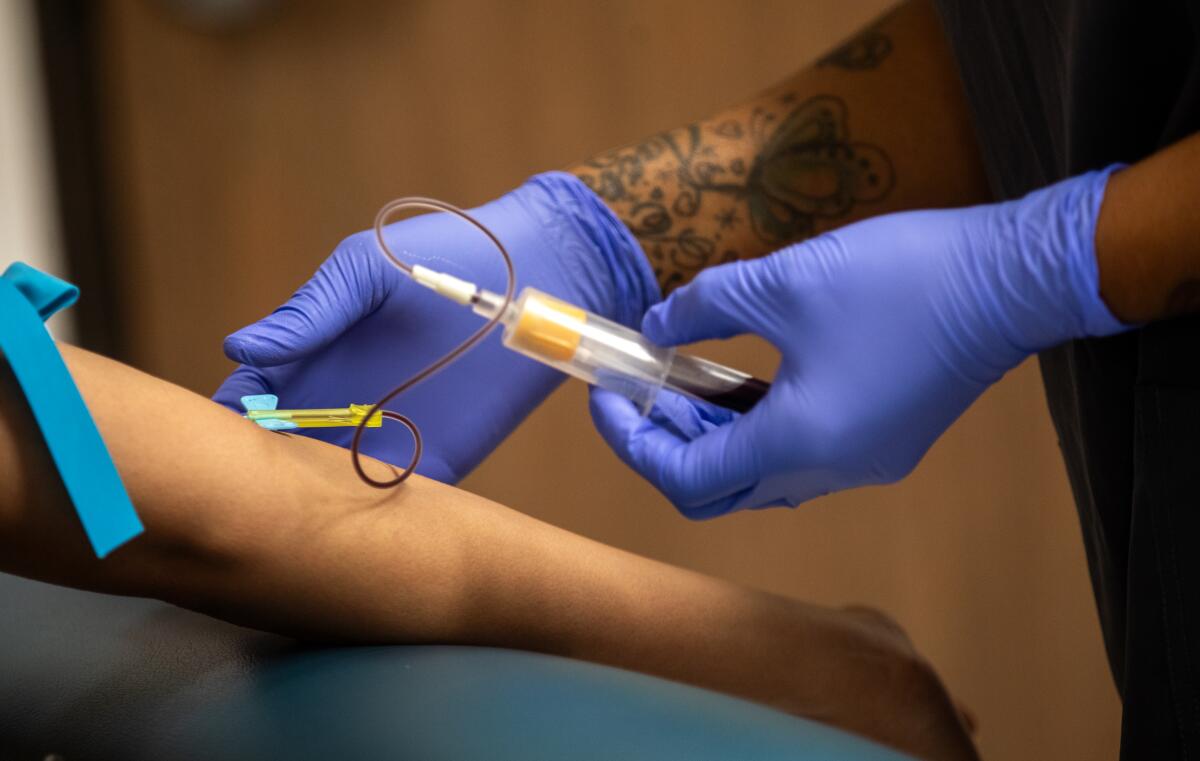 A technician's gloved hands hold apparatus while drawing blood from a patient 