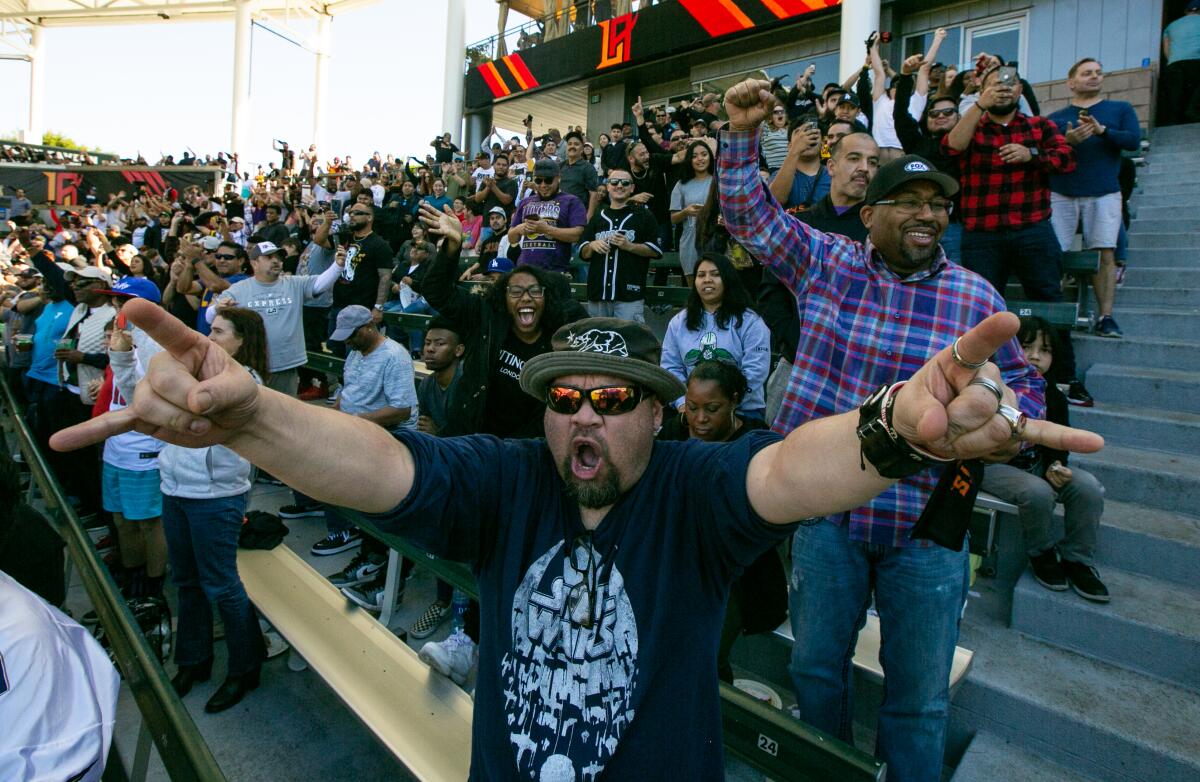Fans celebrate a touchdown by the Wildcats during Sunday's loss to the Dallas Renegades.