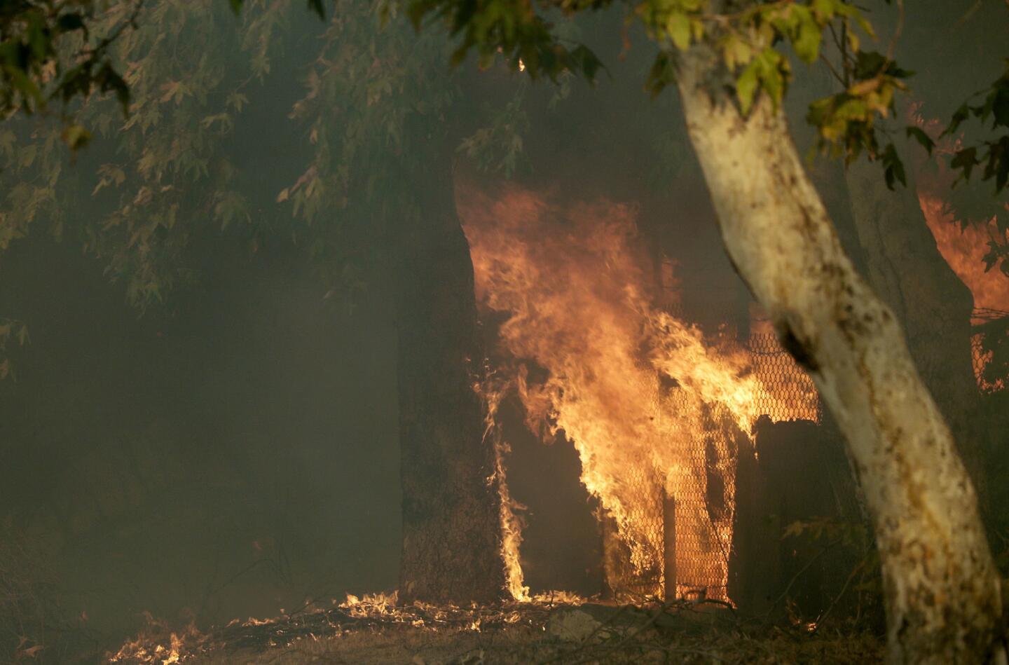 Creek fire