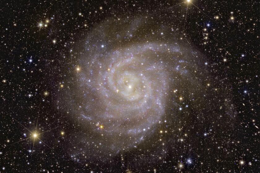 The galaxy called IC 342 as seen by the European Space Agency's Euclid. 