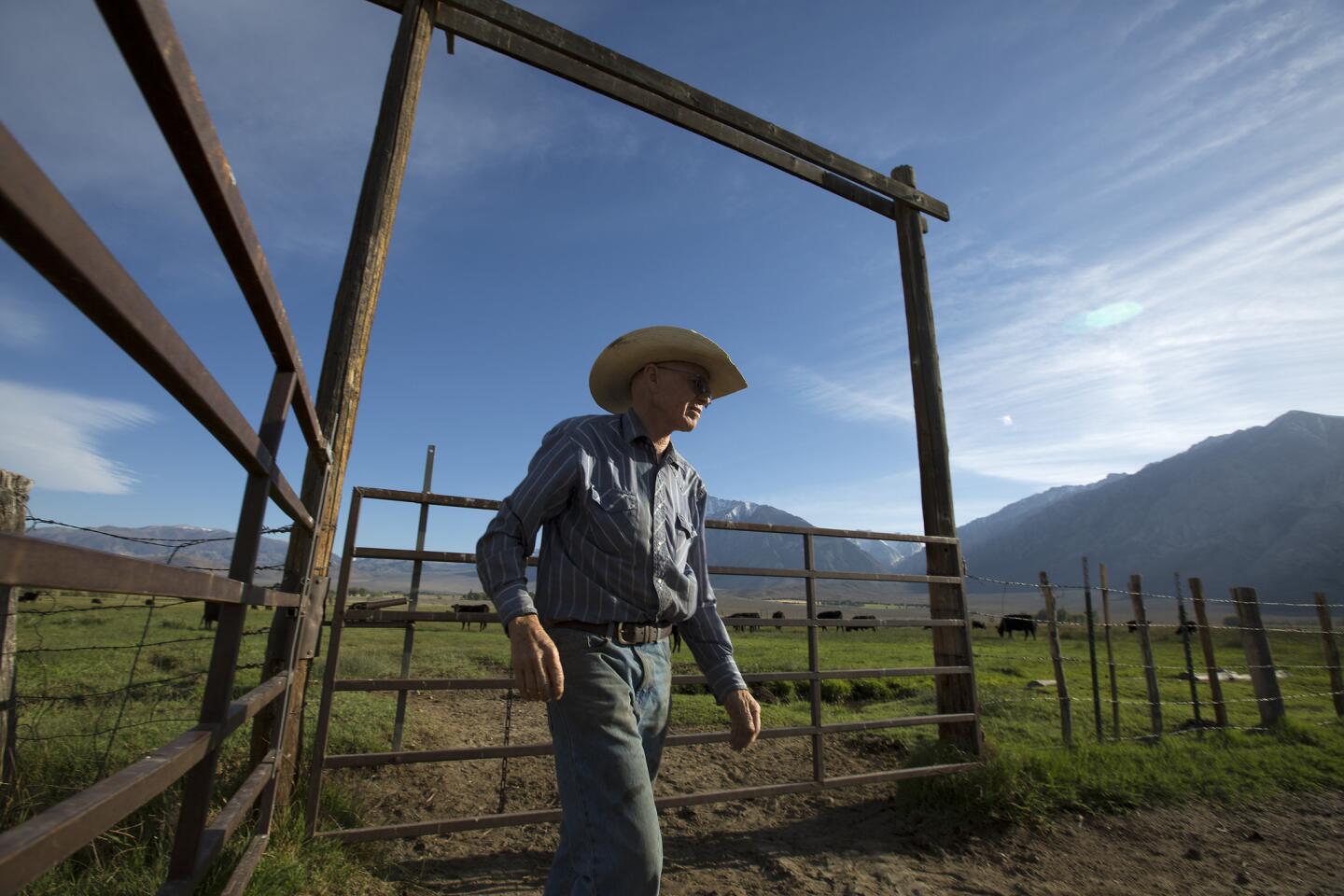 Bill Talbot on his family's leased ranch land near Bishop. The DWP announced plans last month to slash irrigation allotments for half of Inyo County’s 50 ranches. The utility said the cuts are necessary because of the extremely low Sierra snowpack.
