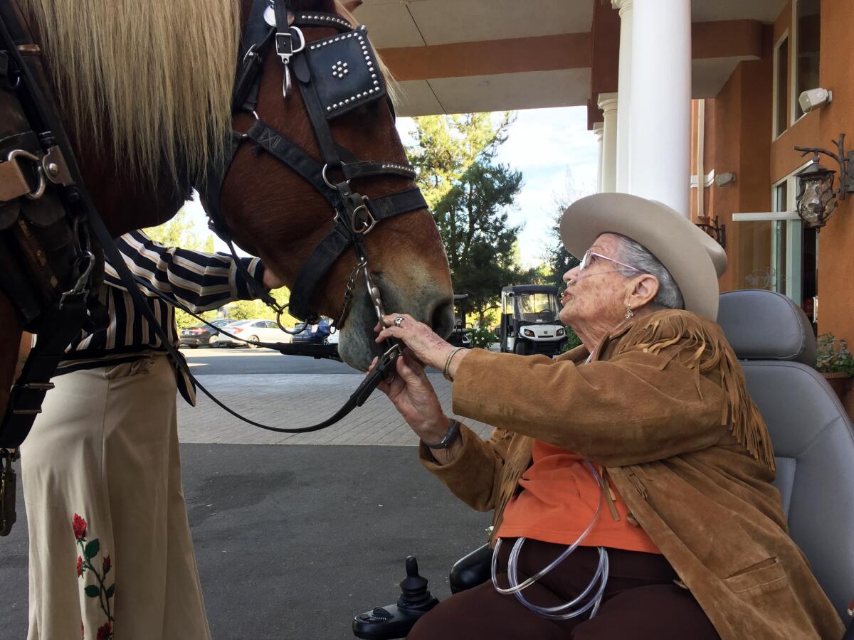 Opal Hagerty, 95, of Escondido meets Blossom, a 16-year-old Belgian draft horse, before a carriage ride last week in Temecula.