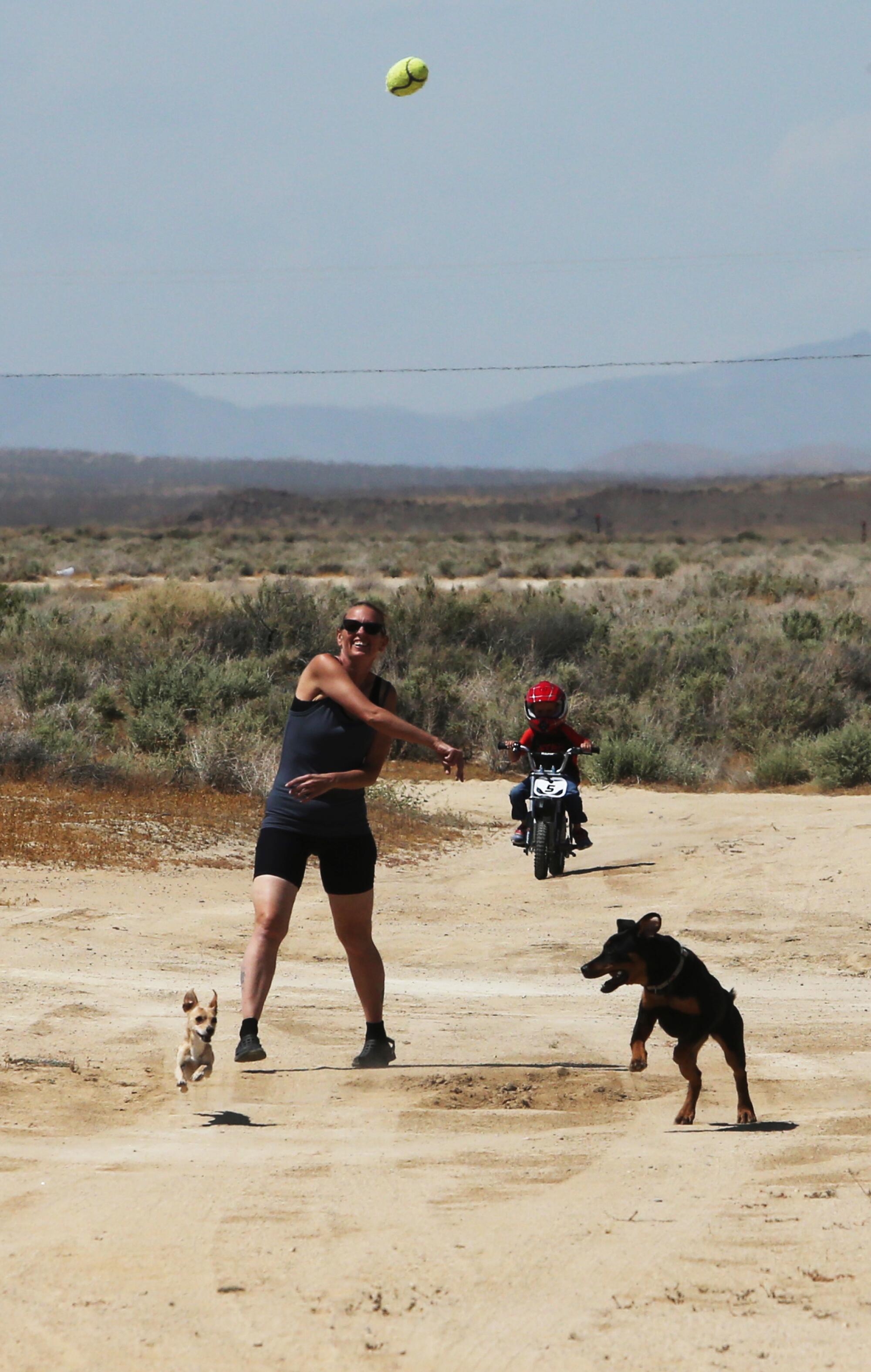 A woman, two dogs and a boy on a bicycle play in a desert landscape.
