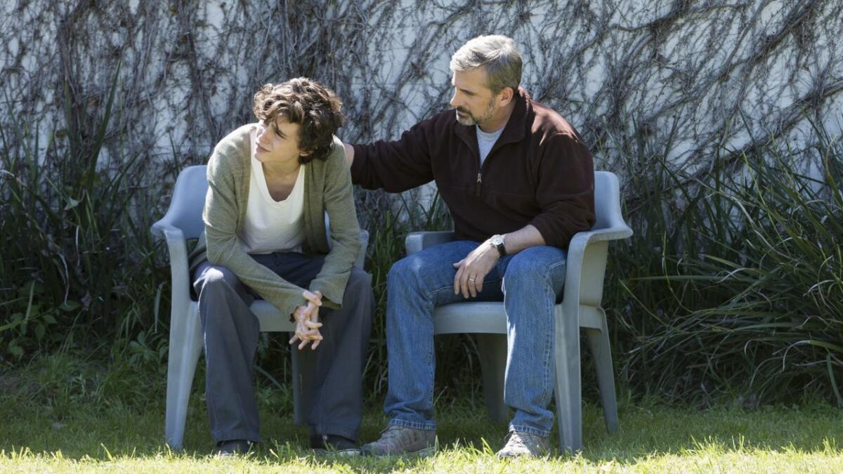 Timothee Chalamet and Steve Carell in "Beautiful Boy."