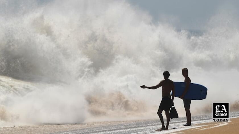 How California's Highest Surf in Years Could Affect Surf Fishing