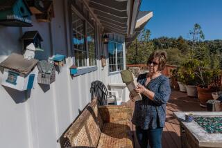 CRESTLINE, CA - OCTOBER 12: Teri Ostlie took out hundreds of thousands of her retirement to fix her home that was severely damaged in last winter's snow storm in Crestline. Ostlie at her re-built home on Thursday, Oct. 12, 2023 in Crestline, CA. (Irfan Khan / Los Angeles Times)