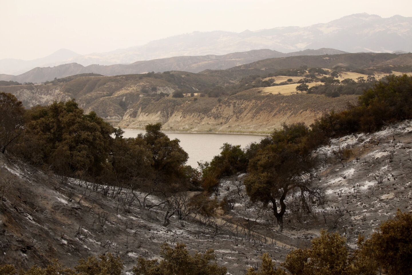 Lake Cachuma is the backdrop for the gray ashen landscape as the Whittier fire continues to burn on the western flank on the north side of the Santa Ynez Mountains Monday afternoon along State Highway 154 in the Santa Ynez Valley.