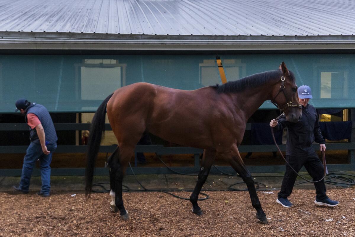 Journalism is washed down at Pimlico Race Course ahead of the 150th running of the Preakness Stakes Saturday.