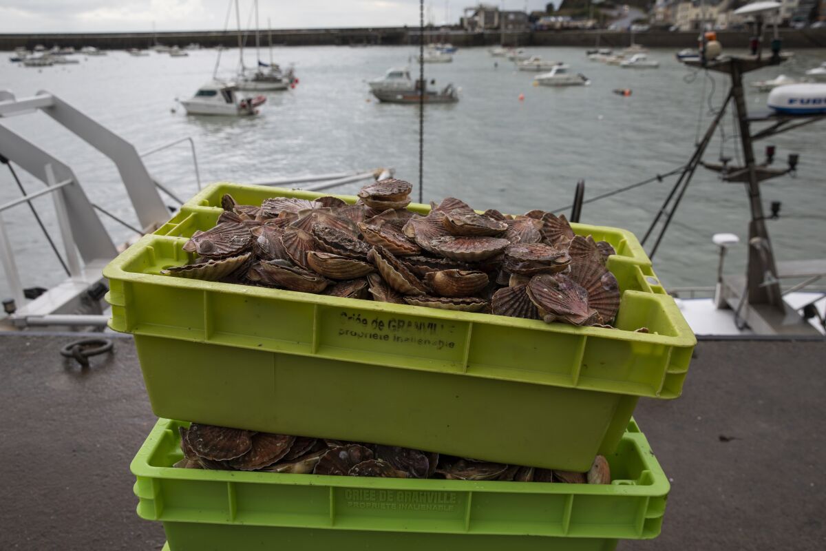 FILE - Boxes of scallops in the port of Granville, France, Nov. 2, 2021. A British-registered scallop boat caught up in a post-Brexit spat between the U.K. and France over fishing licenses has been released by French authorities, its owner said Wednesday Nov. 3, 2021. (AP Photo/Jeremias Gonzalez, File)