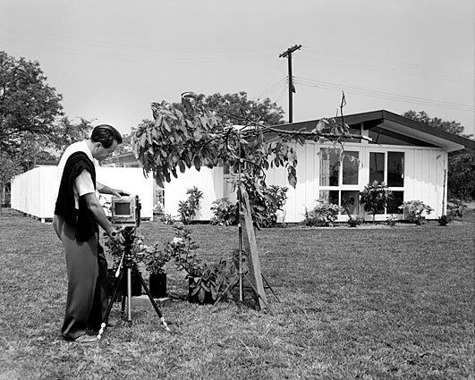 Julius Shulman