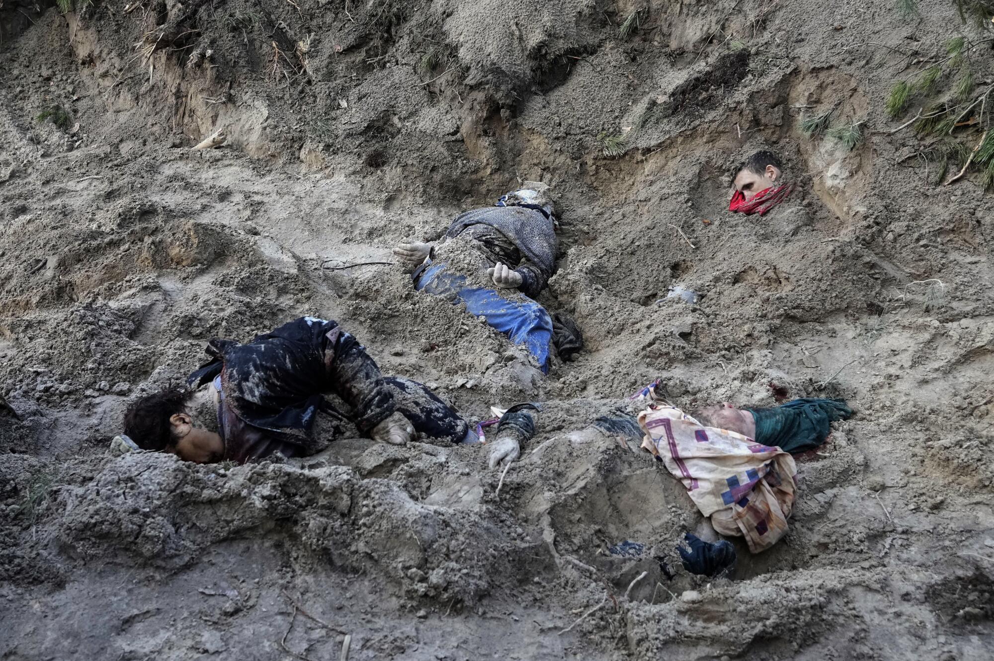 Four bodies lie in a mass grave