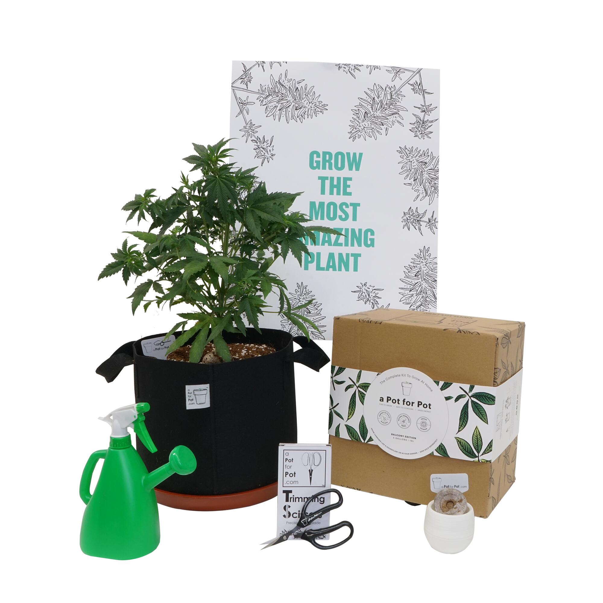 At home pot-growing kit