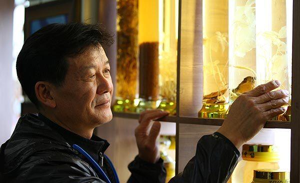 Seo Min-seok views his exceptionally rare wild mountain ginseng collection in Daegu city, South Korea.
