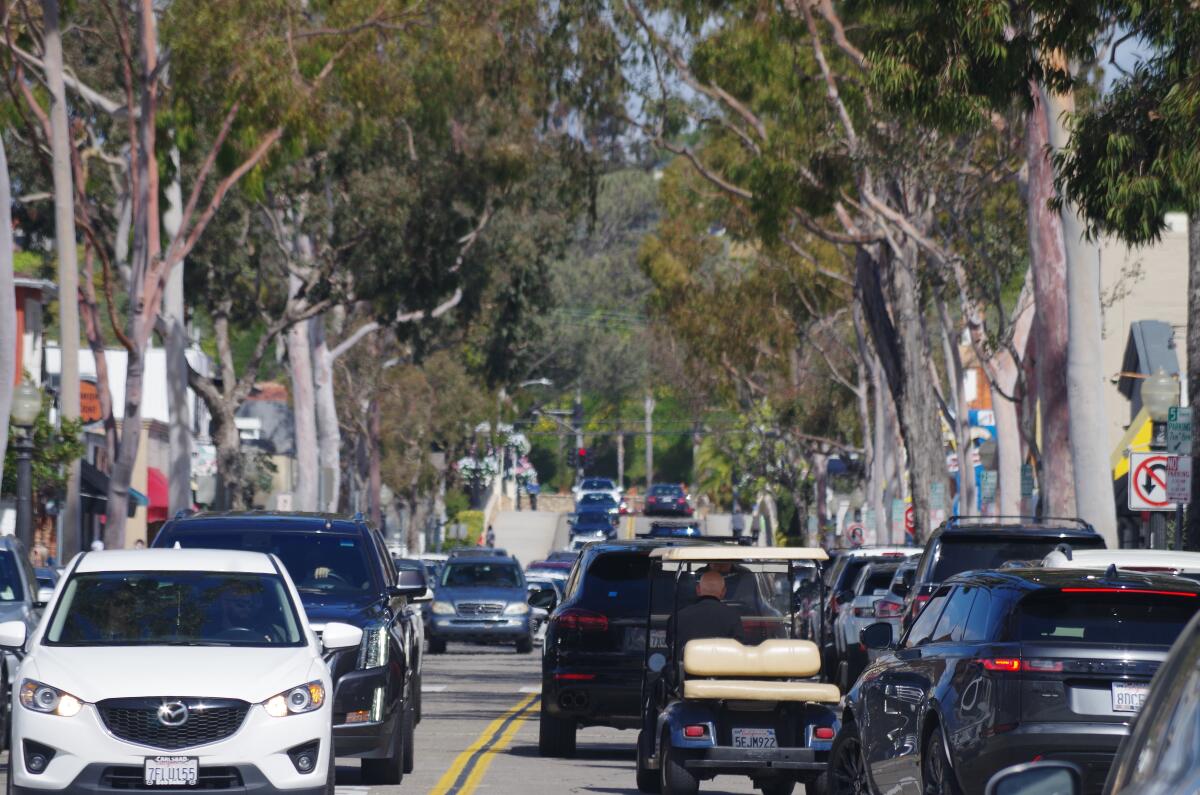 Eucalyptus trees line Marine Avenue on Balboa Island in Newport Beach.