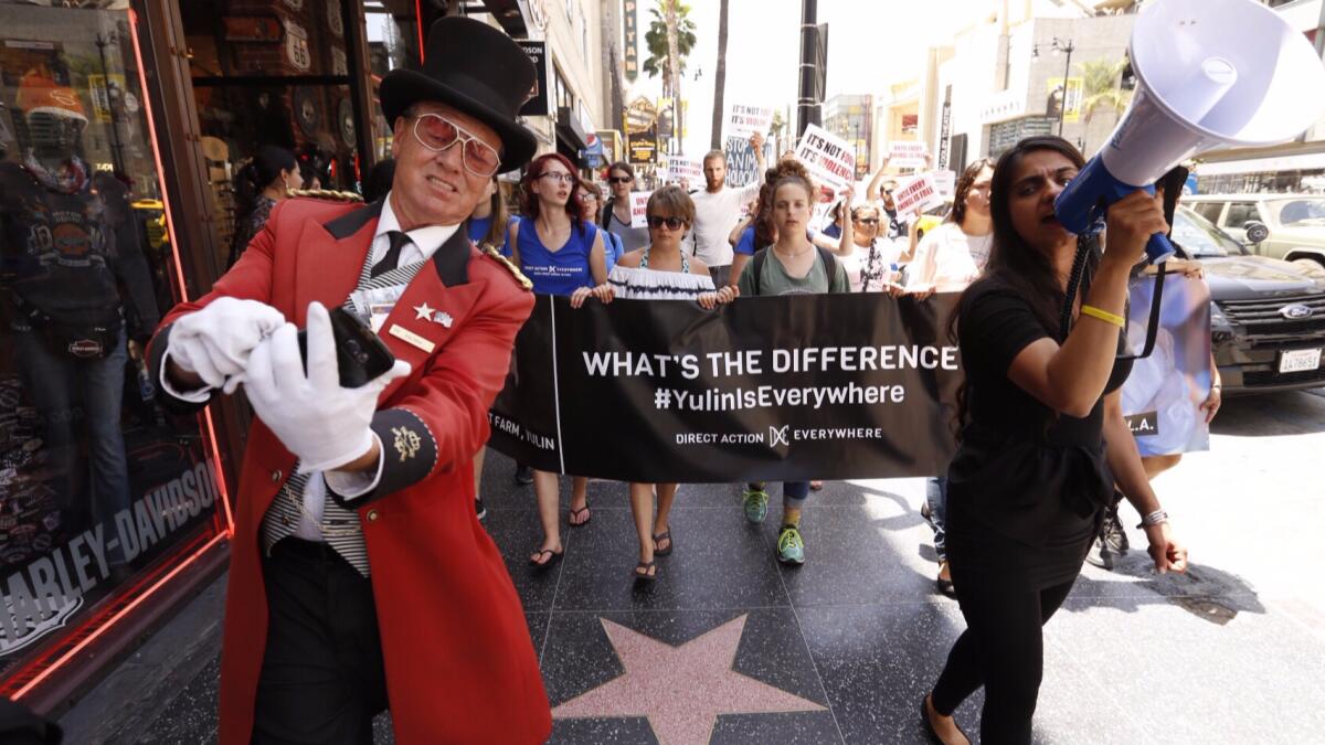 Gregg Donovan, left, a greeter in Hollywood, takes a selfie with Direct Action Everywhere, a group of animal-rights activists, as they marched along Hollywood Boulevard on Monday.