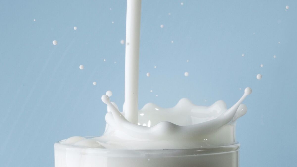 Milk and other dairy products are a primary source of dietary calcium. (Handout / TNS)