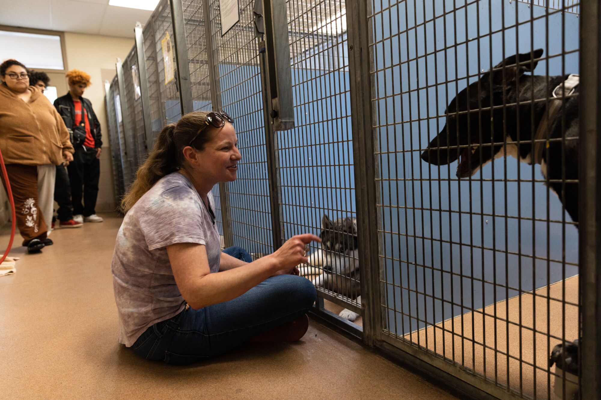 Our recently deceased dog, Sarah Burns, interacts with adoptable dogs in one of dozens of hospital wards.