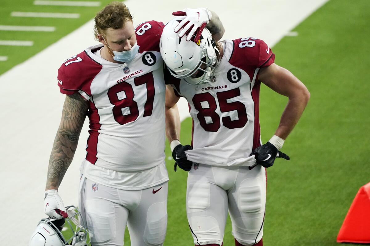 arizona cardinals maxx williams