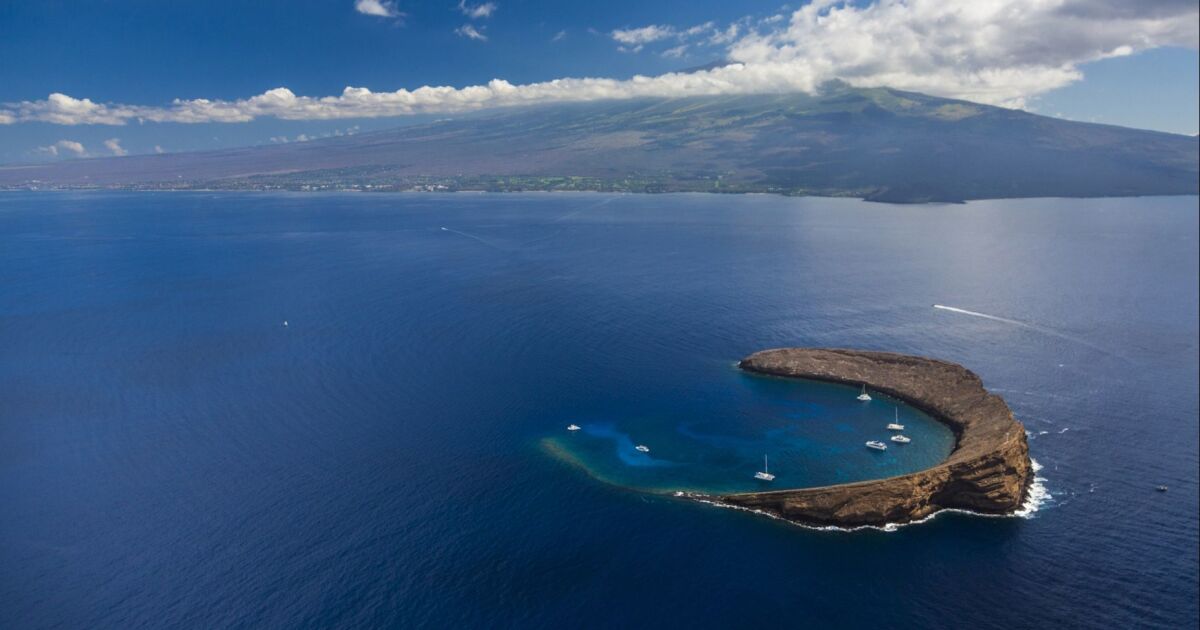 Maui Covid Travel
