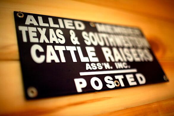 Cattle rustling in Texas