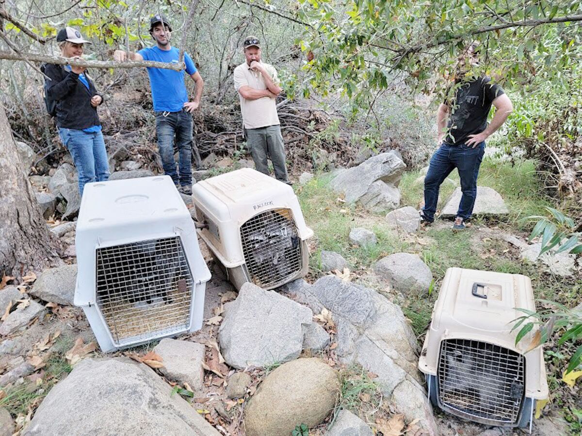From left, Tami Cross, Craig Schreiber, an unidentified ranger and Ross Hernandez.